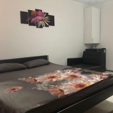 Apartamento Garsoniera Aleea Trandafirilor Băile Herculane Exterior foto
