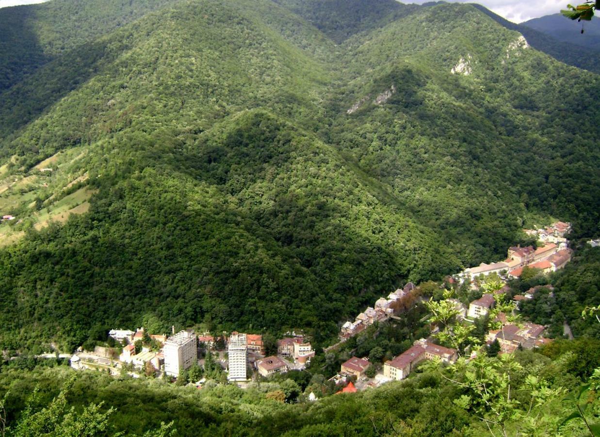 Apartamento Garsoniera Aleea Trandafirilor Băile Herculane Exterior foto
