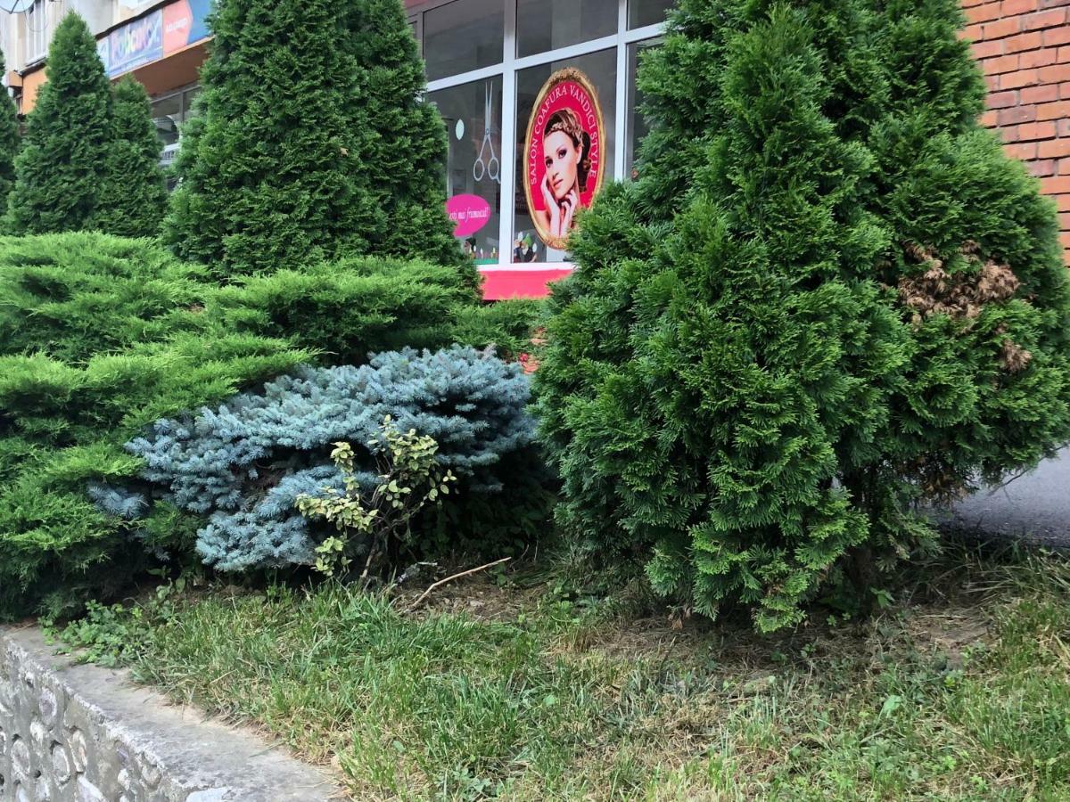 Apartamento Garsoniera Aleea Trandafirilor Băile Herculane Exterior foto